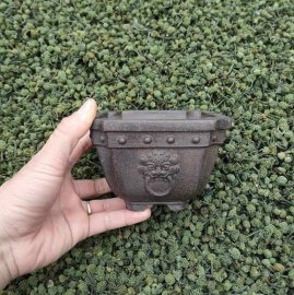 Chậu vuông vat góc, mặt bợm V047