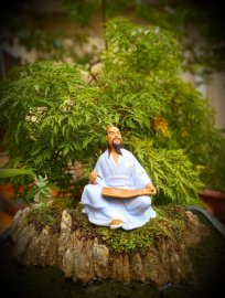 Quân tử hiểu mệnh chứ không xem mệnh