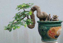 Lovely tamarind tree