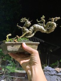 Test phông đêm với Trắc