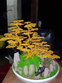 Bonsai dây đồng