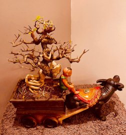 Mai chiếu thủy, cắt giật