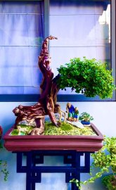 Chuẩn bị chia tay 2021 để đón năm mới 2022