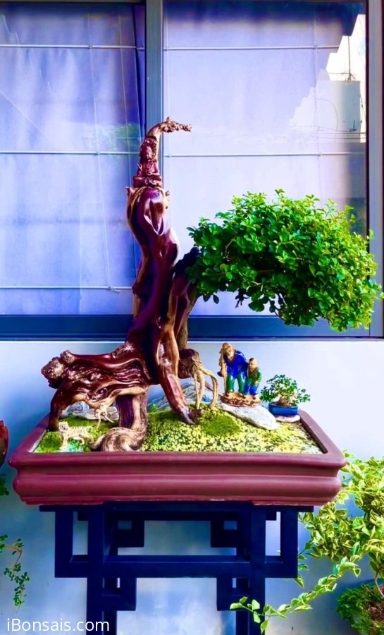 Chuẩn bị chia tay 2021 để đón năm mới 2022