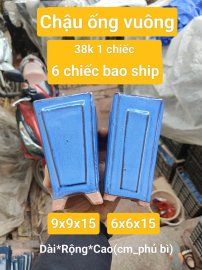 Mini bonsai chỉ từ 35k
