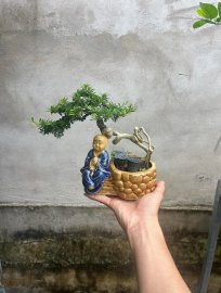 Linh sam vài xị bao ship