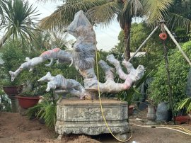 Hoàng Anh đã lên ngôi Hoàng Hậu