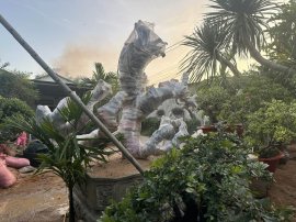 Hoàng Anh đã lên ngôi Hoàng Hậu