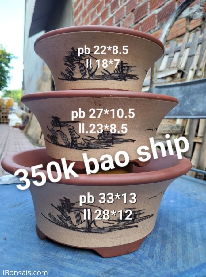 350k/ bộ bao ship