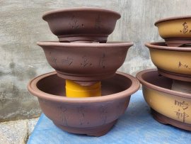 455k/ combo 6 chiếc chậu tròn lỗi thanh lí ạ