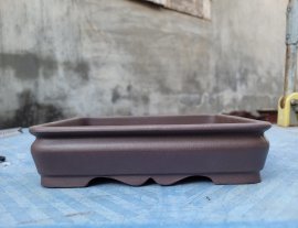 165k/ chiếc bao ship ạ
