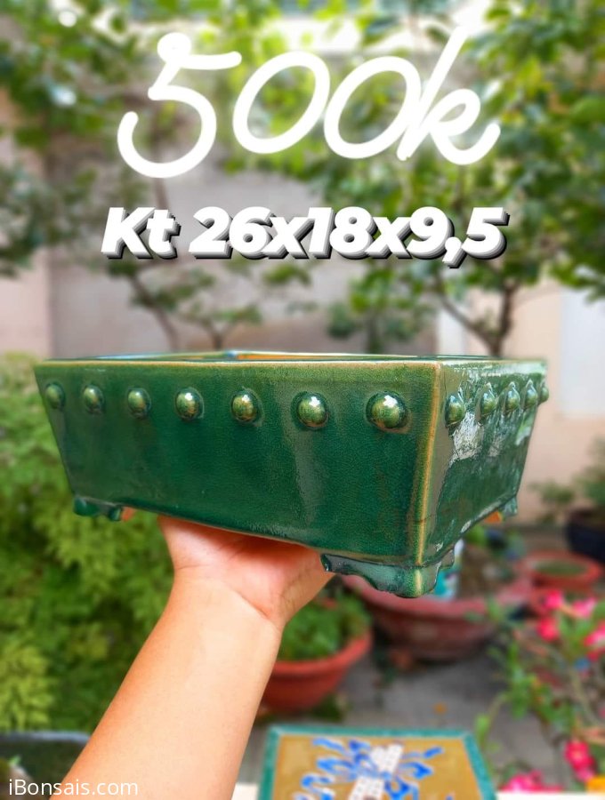 Thanh lý chậu đinh hàng lò Tàu, men chuẩn xịn