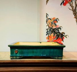 Chậu chất thế này nên hết nước chấm là đương nhiên