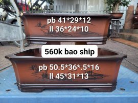 Bộ cn lỗi nhẹ e dọn kho ạ