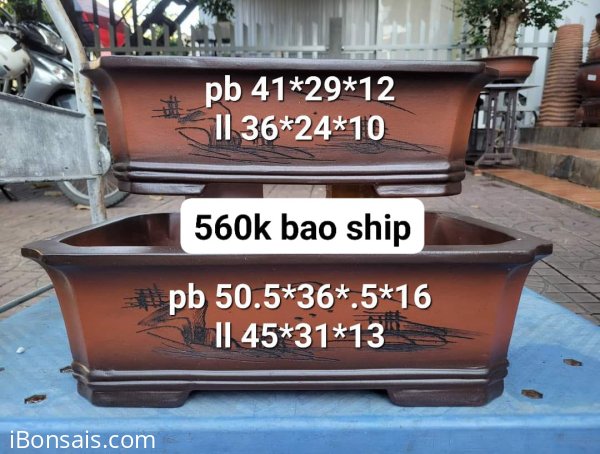 Bộ cn lỗi nhẹ e dọn kho ạ