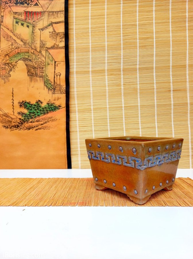 500k bay nhanh cho ae vô cây
