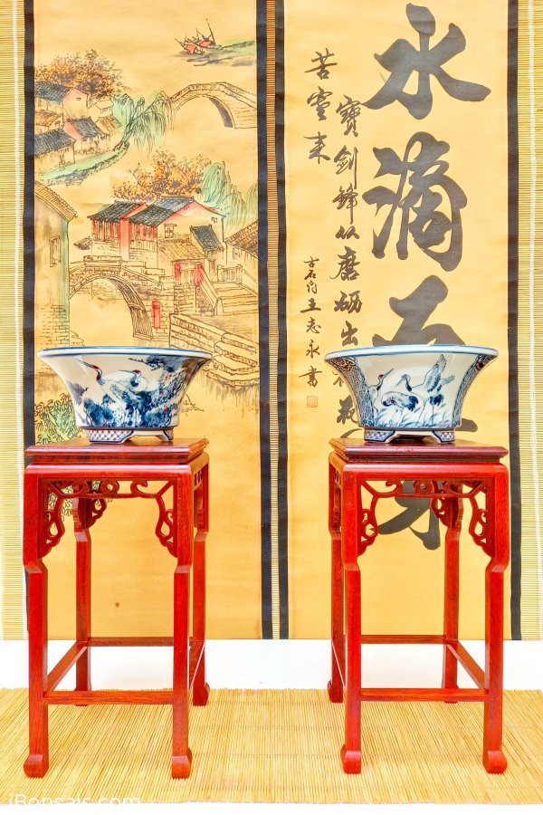 Bay nhanh 1 cặp chậu Hồng Hạc 1000k, lấy lẻ 600k