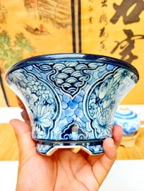 Chơi thử chậu vẽ này 500k. Bao vẽ tay kt 17x10