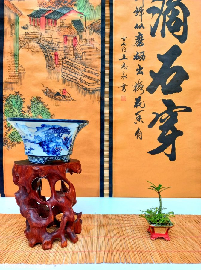 Giao lưu ae giá bao rẻ nhất thị trường