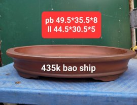 435k/ chiếc bao ship