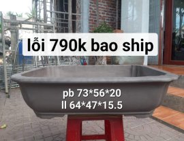 Còn chiếc cn tàu lỗi thanh lí ạ