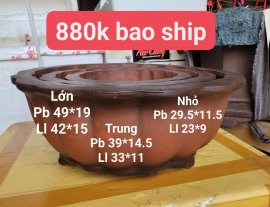 Bộ chậu lỗi gl ạ
