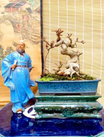Xả tượng nha ae