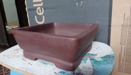 Chiếc vuông tàu gl ạ