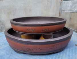 435k bao ship ạ