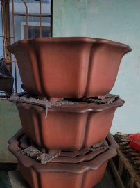 Chậu tàu chất đẹp gl ạ