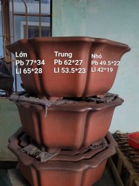 Chậu tàu chất đẹp gl ạ