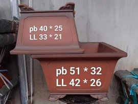 Vuông tàu gl ạ