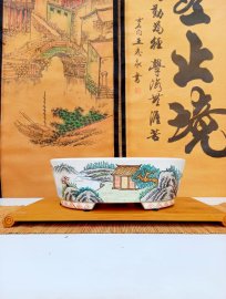 Hàng sưu tầm xuất Nhật 1 chậu duy nhất vẽ toàn cảnh