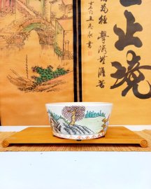 Hàng sưu tầm xuất Nhật 1 chậu duy nhất vẽ toàn cảnh