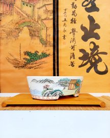 Hàng sưu tầm xuất Nhật 1 chậu duy nhất vẽ toàn cảnh