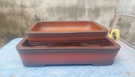 Bộ cn tàu lỗi thanh lí ạ