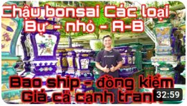 Gốm Sứ Khánh Như giảm chậu loại B 10%-30%