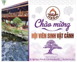Chợ phiên trưng bày Bonsai trung và mini