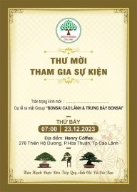 Group Bonsai Cao Lãnh và Trưng bày bonsai (Kết thúc)