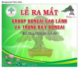Group Bonsai Cao Lãnh và Trưng bày bonsai