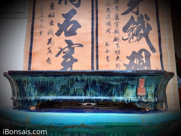 Chậu cũ hoa men đẹp và rạn tự nhiên theo năm tháng