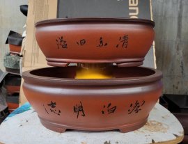 Bộ ovan tàu lỗi nhẹ thanh lí ạ