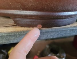 Bộ ovan tàu lỗi nhẹ thanh lí ạ