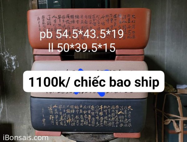 Còn 1 chiếc đỏ và 1 chiếc đen ạ