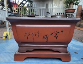 Chiếc cn có đôn lỗi thanh lí ạ