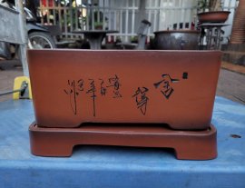 Chậu chữ nhật có đôn lỗi nhẹ thanh lí ạ