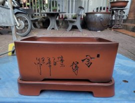 Chậu chữ nhật có đôn lỗi nhẹ thanh lí ạ