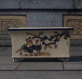 Nay chuyển qua vẽ Kim Kê nha ae