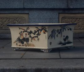 Nay chuyển qua vẽ Kim Kê nha ae