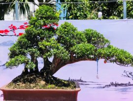 Chia sẻ vài tp hàng đại ae cung thưỡng lãm